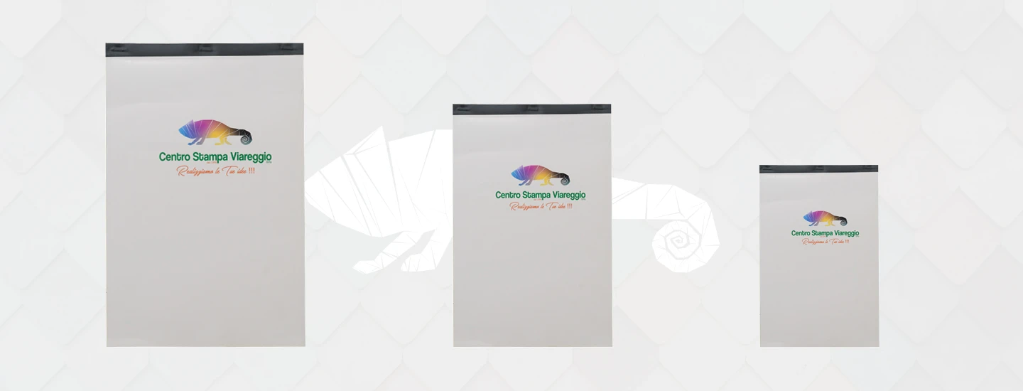 moduli carta chimica - esempi di realizzazioni 2